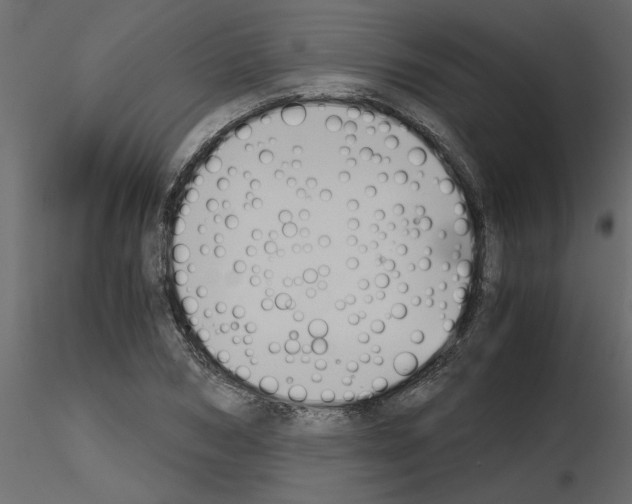 X0000115680978200912241437