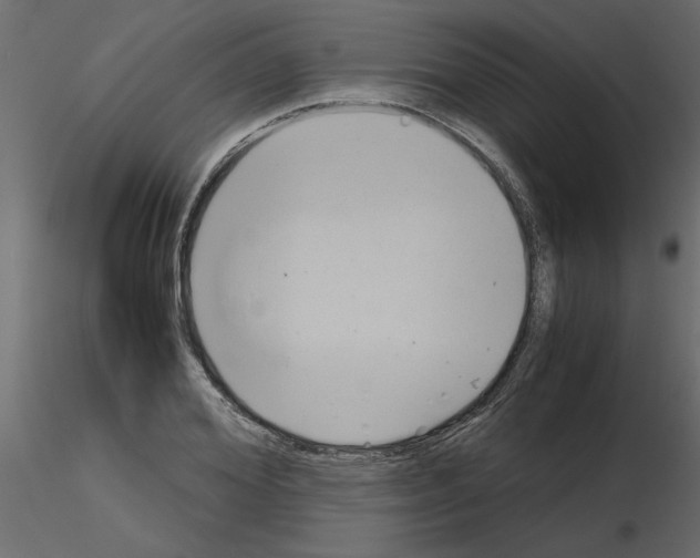 X0000115680980200912241437