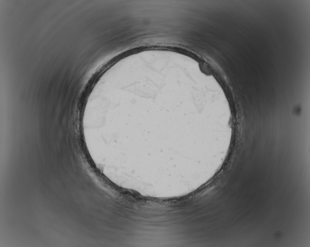 X0000115680981200912241437