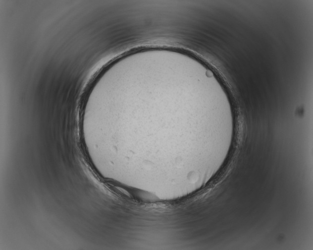 X0000115680982200912241437