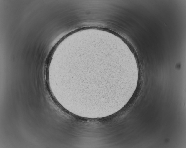 X0000115680983200912241437