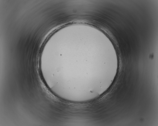 X0000115680984200912241437