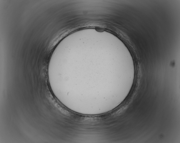 X0000115680985200912241437