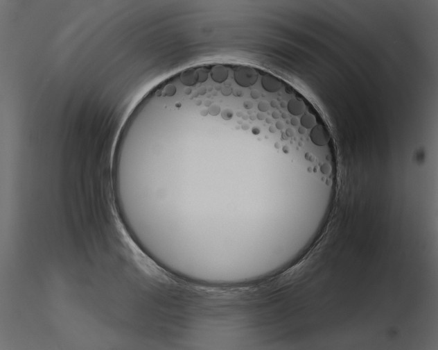 X0000115680988200912241437