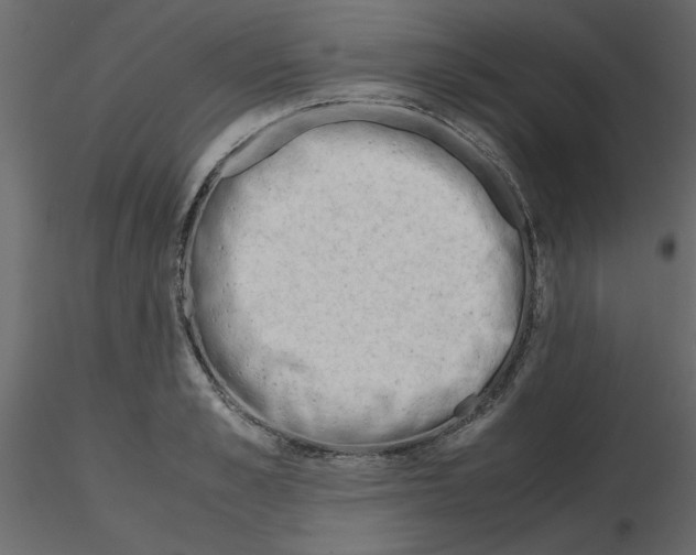 X0000115680989200912241437