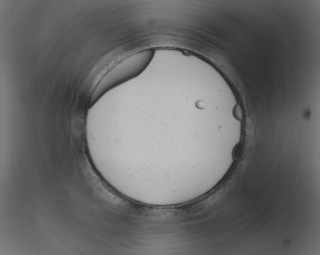 X0000115680993200912241437