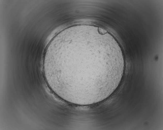 X0000115680994200912241437