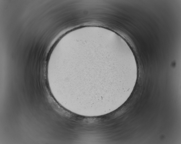 X0000115681000200912241437