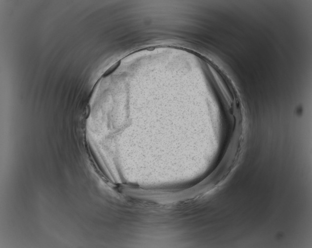 X0000115681001200912241437