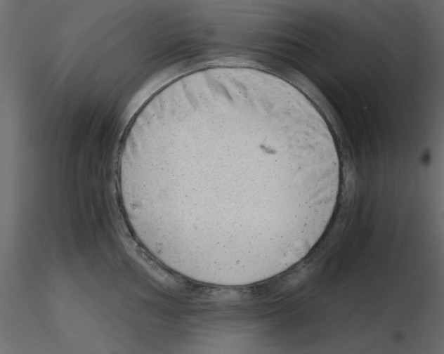 X0000115681002200912241437