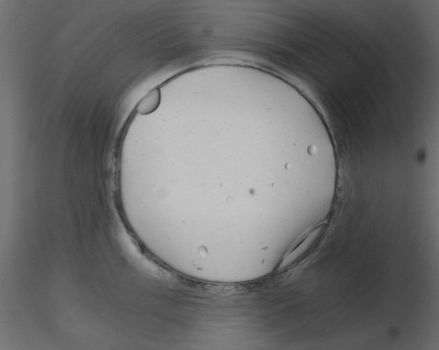 X0000115681003200912241437