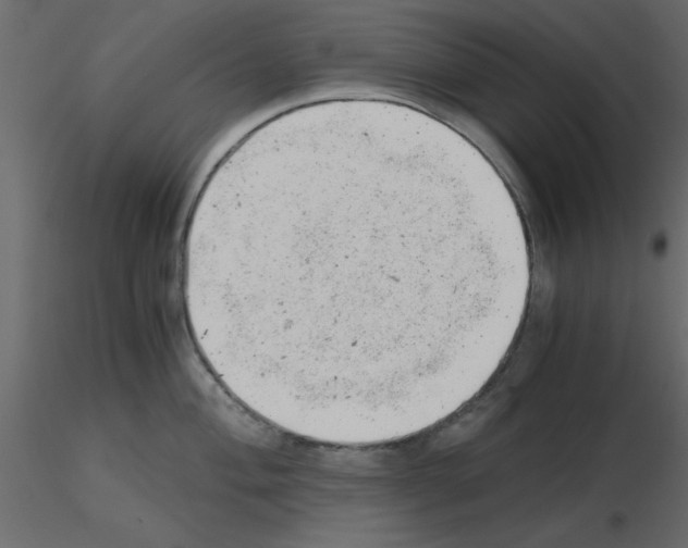 X0000115681004200912241437