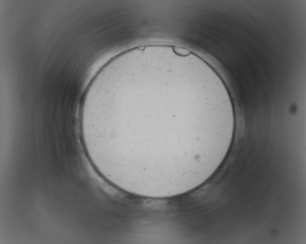 X0000115681006200912241437