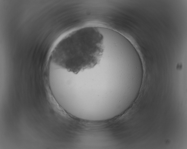 X0000115681008200912241436