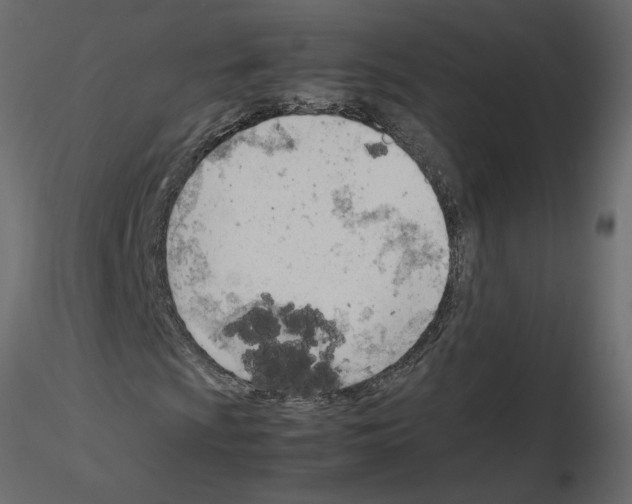 X0000115681009200912241436