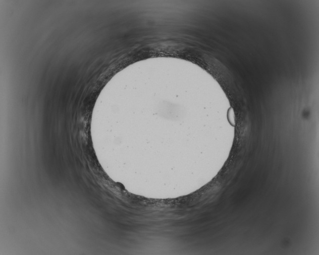 X0000115681010200912241436