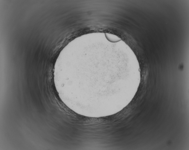 X0000115681012200912241436
