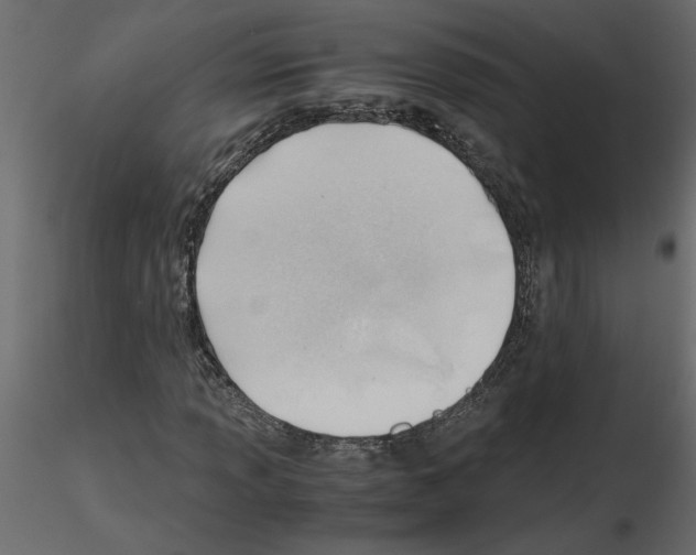 X0000115681013200912241436