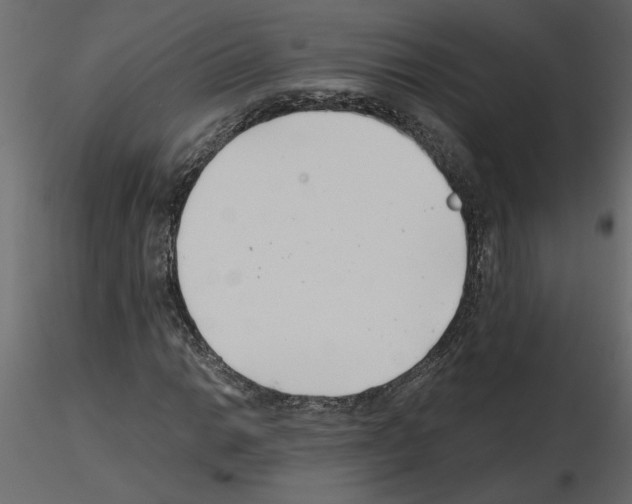 X0000115681014200912241436