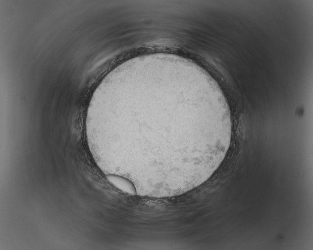 X0000115681015200912241436