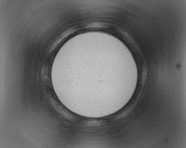 X0000115681017200912241436