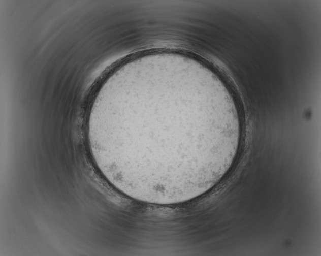 X0000115681019200912241436