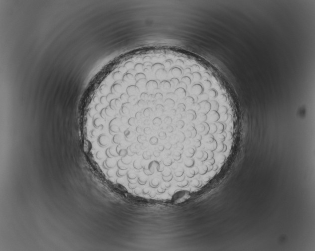 X0000115681022200912241436