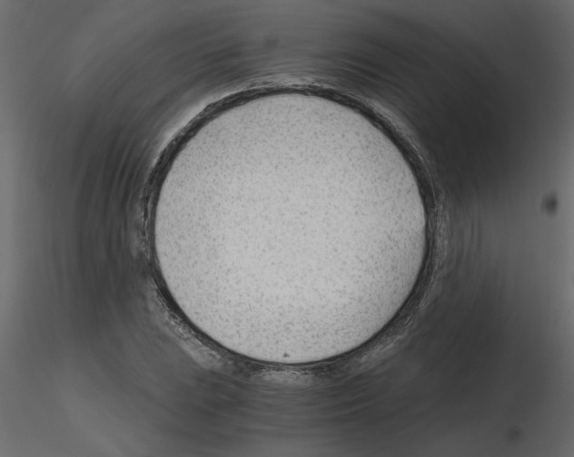 X0000115681023200912241436