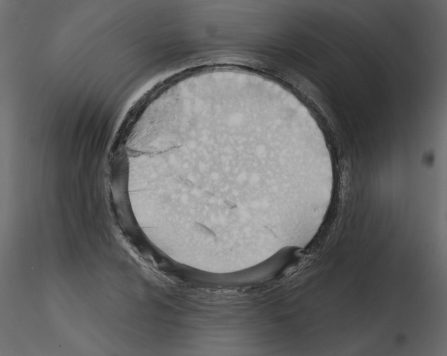 X0000115681024200912241436
