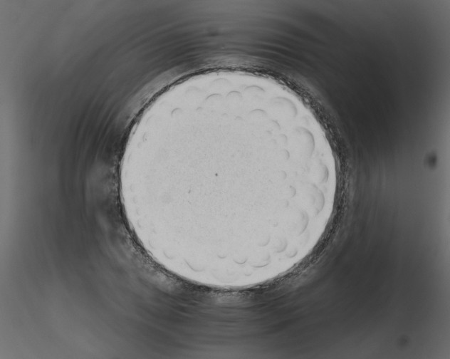 X0000115681025200912241436