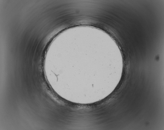 X0000115681026200912241436
