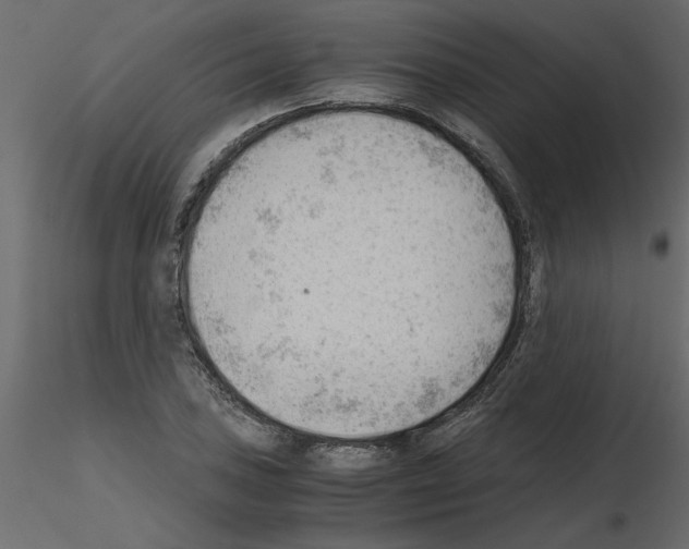 X0000115681027200912241436