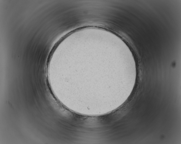 X0000115681028200912241436