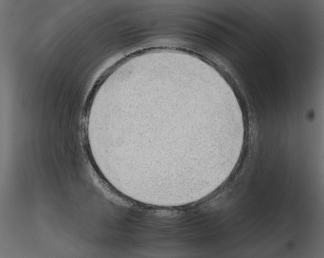 X0000115681029200912241436