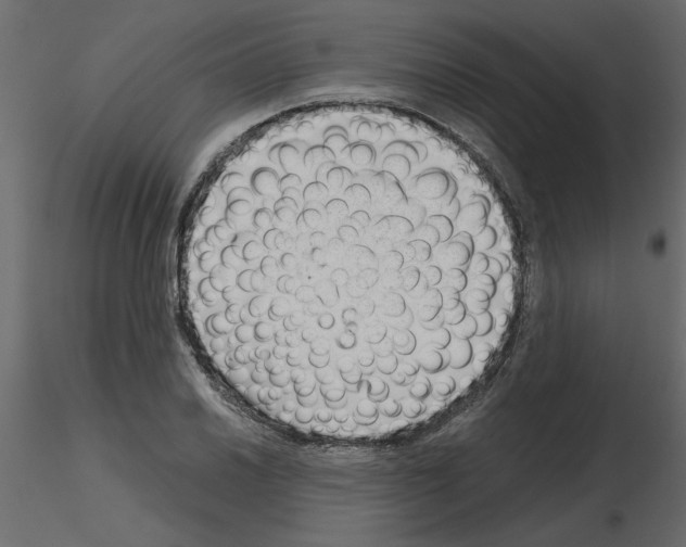 X0000115681030200912241436