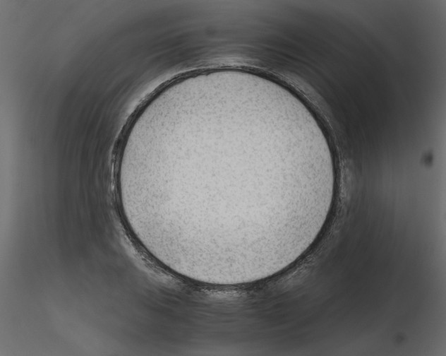 X0000115681031200912241436