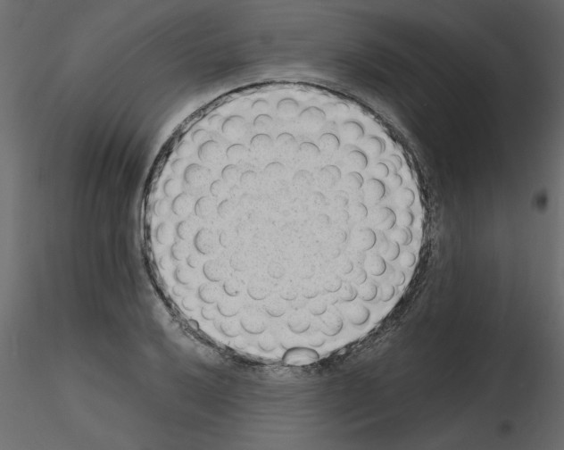 X0000115681032200912241436