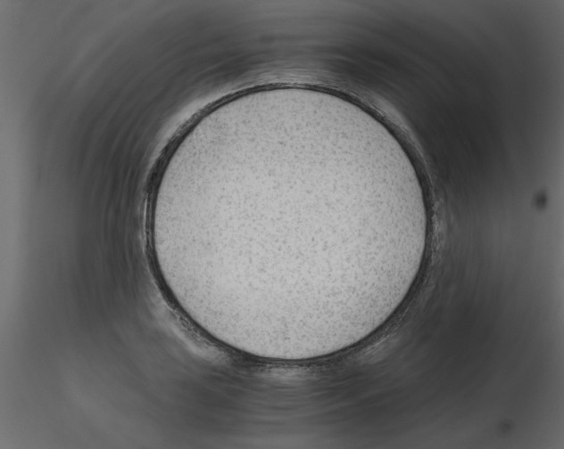 X0000115681035200912241436
