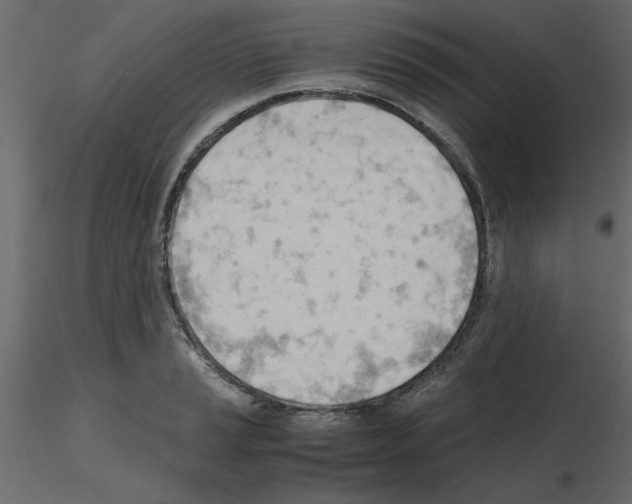 X0000115681037200912241436