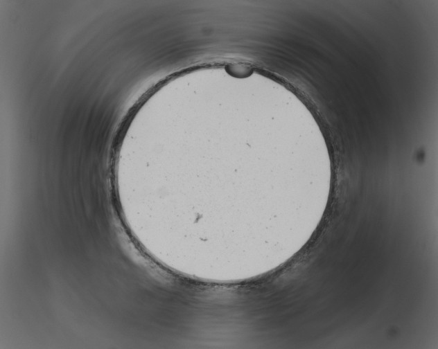 X0000115681038200912241436
