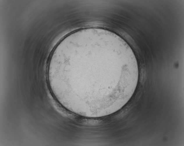 X0000115681039200912241436