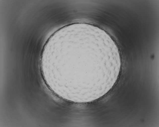 X0000115681040200912241436