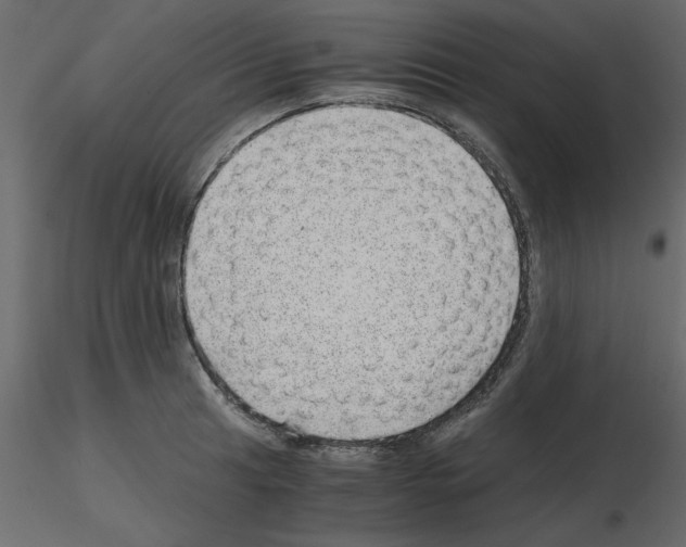 X0000115681041200912241436