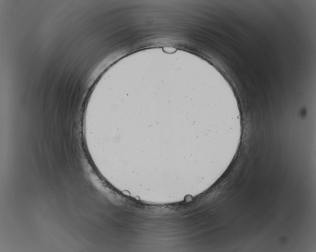 X0000115681042200912241436