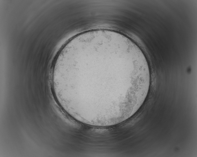 X0000115681043200912241436