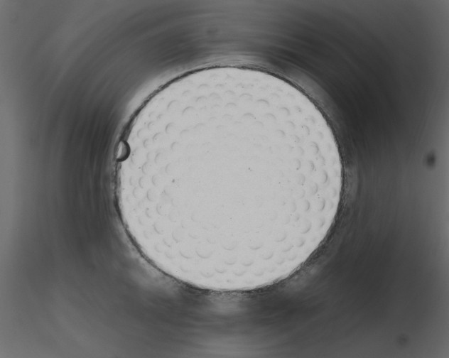 X0000115681046200912241436