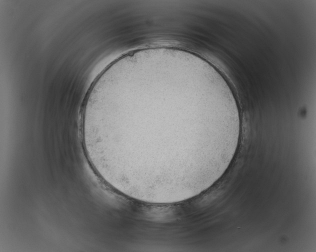 X0000115681047200912241436