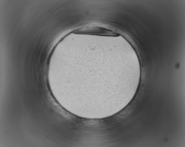 X0000115681048200912241436