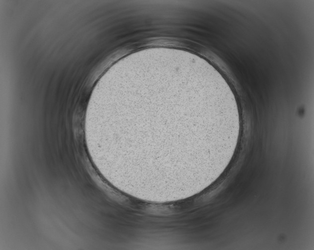 X0000115681049200912241436