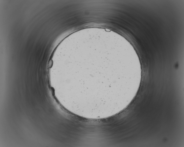 X0000115681050200912241436